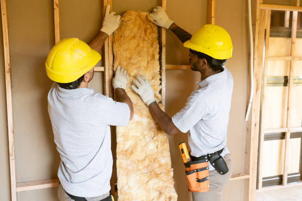 Best Professional Insulation Contractor  in Lake Hamilton, FL