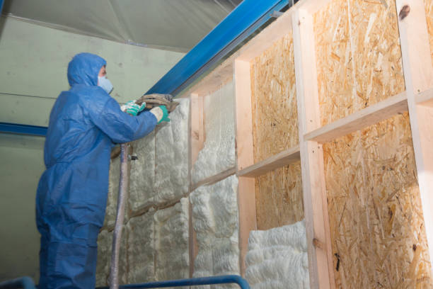 Professional Insulation Contractor in Lake Hamilton, FL