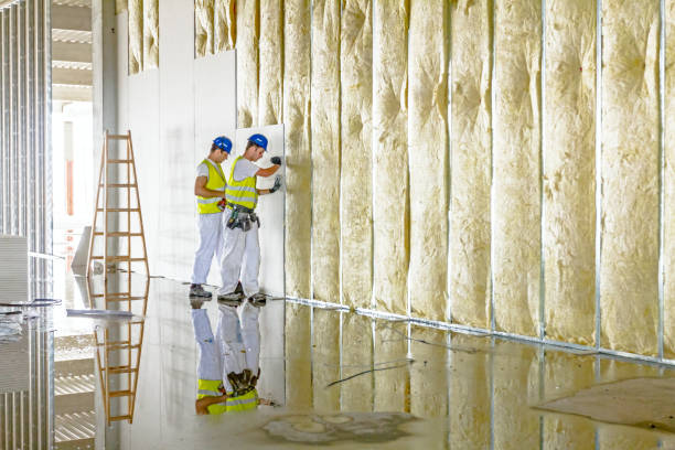 Best Energy-efficient Insulation  in Lake Hamilton, FL